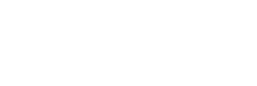 The ONLINEBIZ Diva